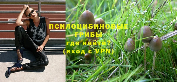 синтетический гашиш Богородск