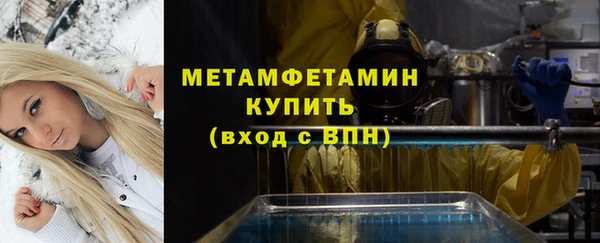 ПСИЛОЦИБИНОВЫЕ ГРИБЫ Богданович