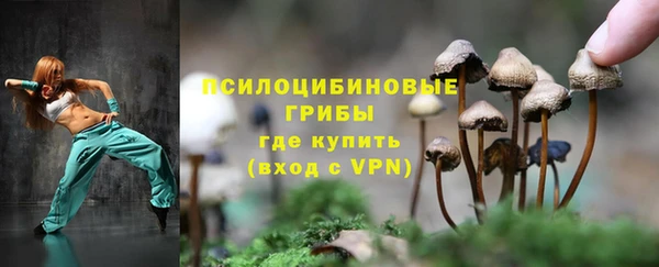 бошки Богородицк
