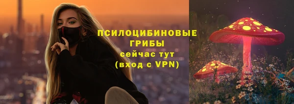 синтетический гашиш Богородск