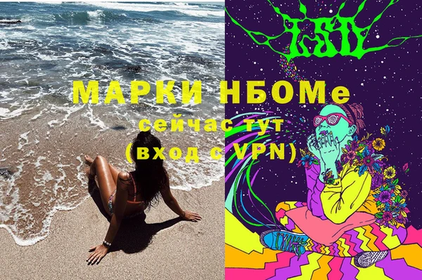 бошки Богородицк