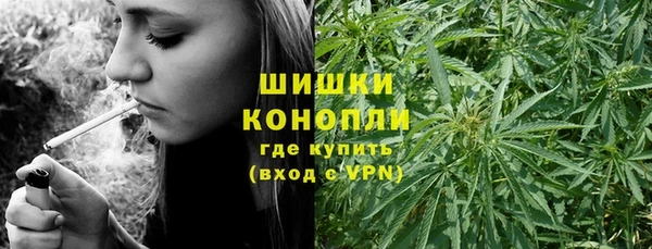 бошки Богородицк