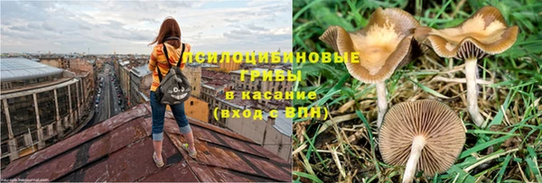бошки Богородицк