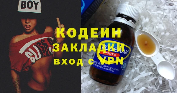 ПСИЛОЦИБИНОВЫЕ ГРИБЫ Богданович
