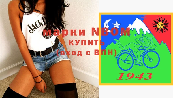 ПСИЛОЦИБИНОВЫЕ ГРИБЫ Богданович