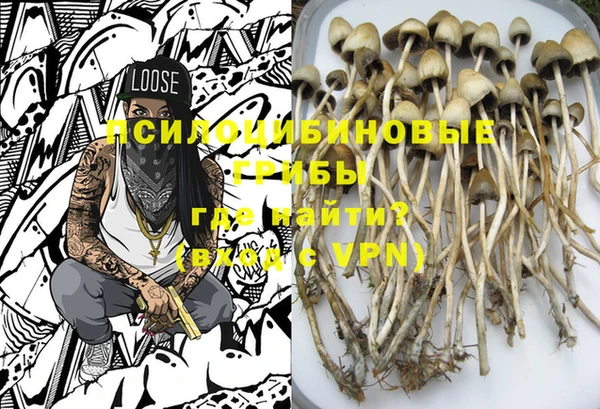 бошки Богородицк