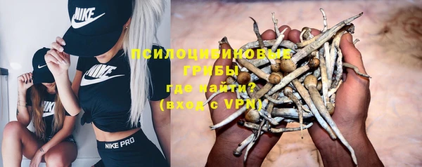 ПСИЛОЦИБИНОВЫЕ ГРИБЫ Богданович